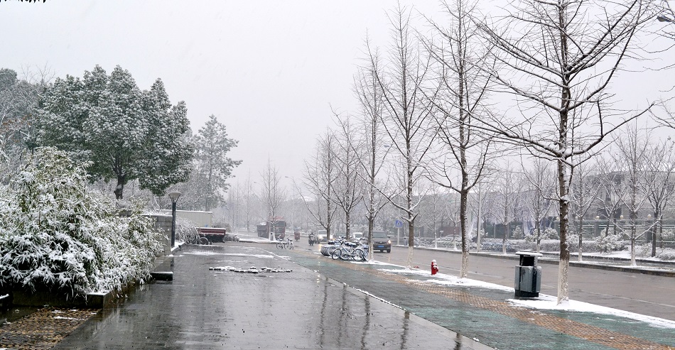 下雪了，2018年的雪
